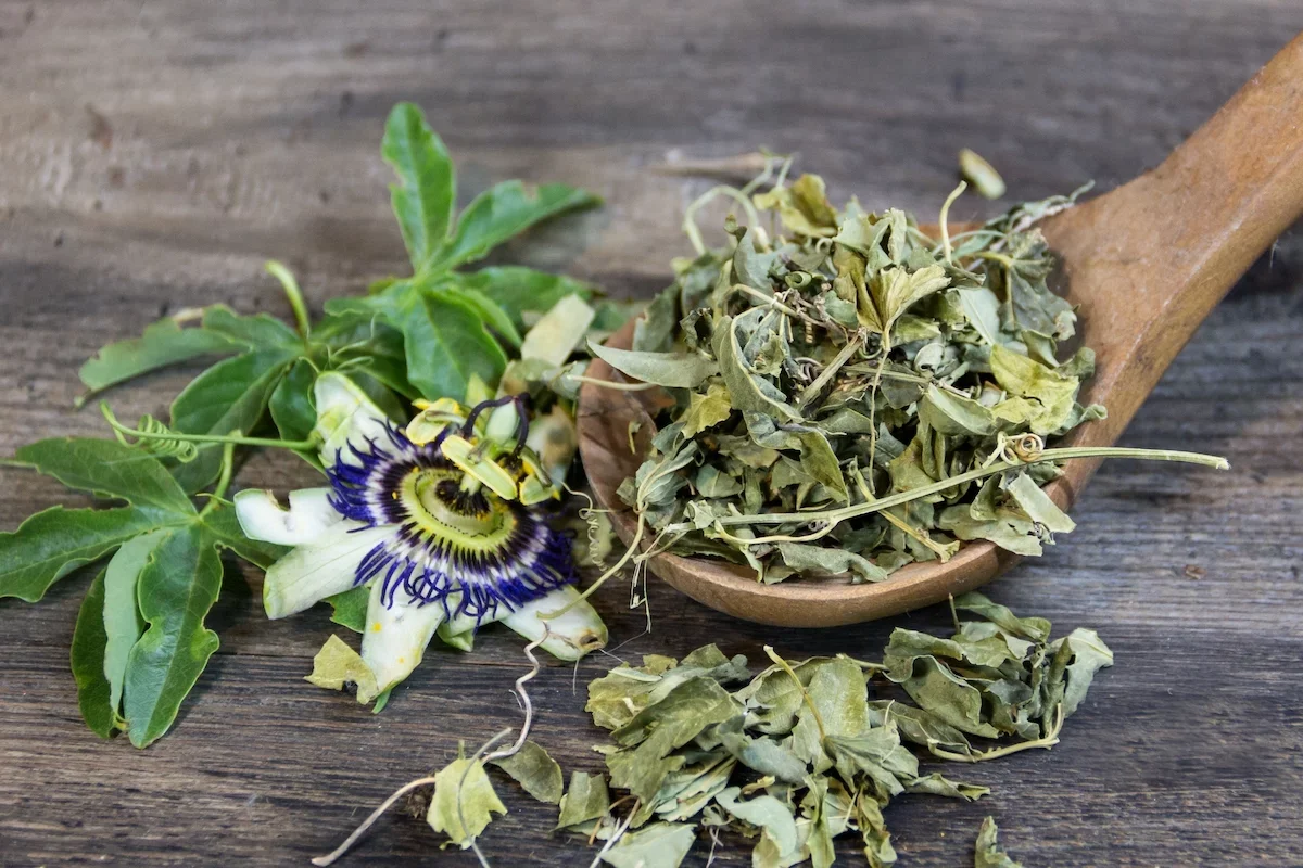 Chá de passiflora: ideal para diminuir o stress 